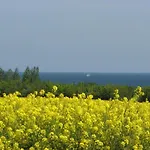 Gemuetlicher Bungalow Mit Garten * Poel